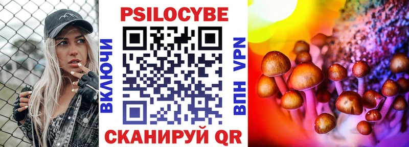 Купить закладки  Химки  Псилоцибиновые грибы Psilocybe 
